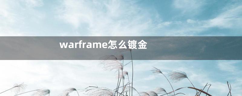 warframe怎么镀金