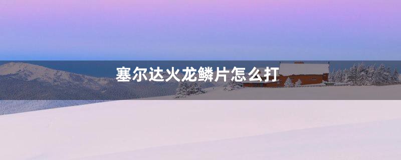 塞尔达火龙鳞片怎么打