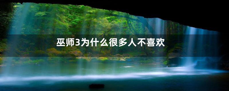 巫师3为什么很多人不喜欢