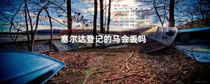 塞尔达登记的马会丢吗