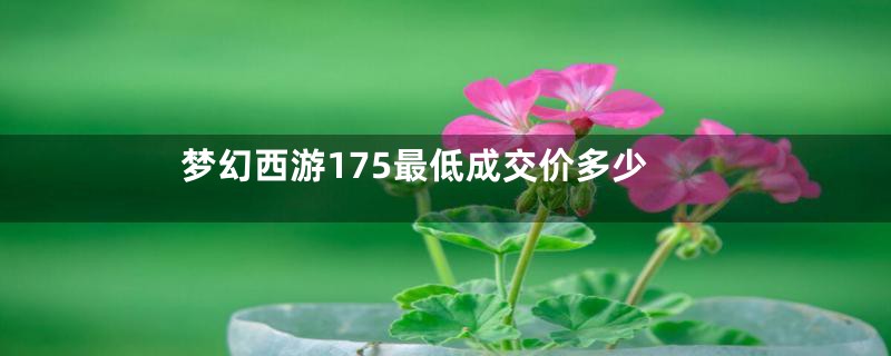 梦幻西游175最低成交价多少