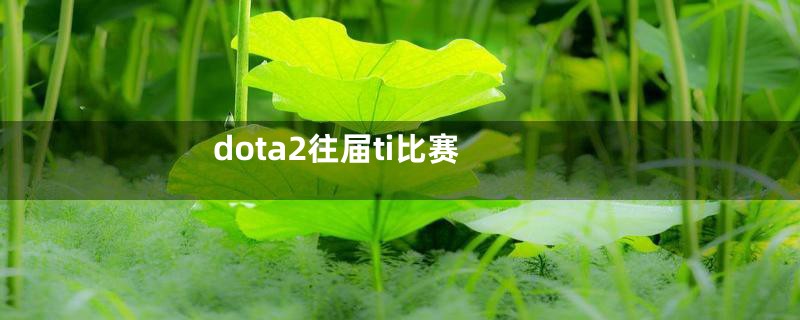 dota2往届ti比赛