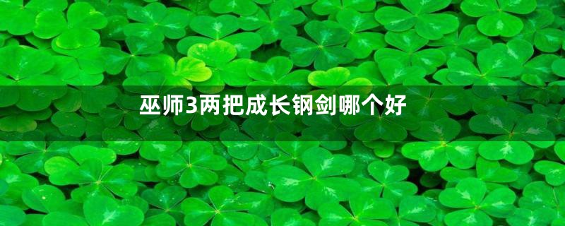 巫师3两把成长钢剑哪个好
