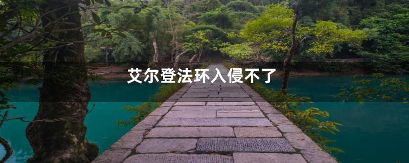 艾尔登法环入侵不了