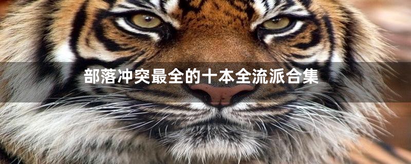 部落冲突最全的十本全流派合集