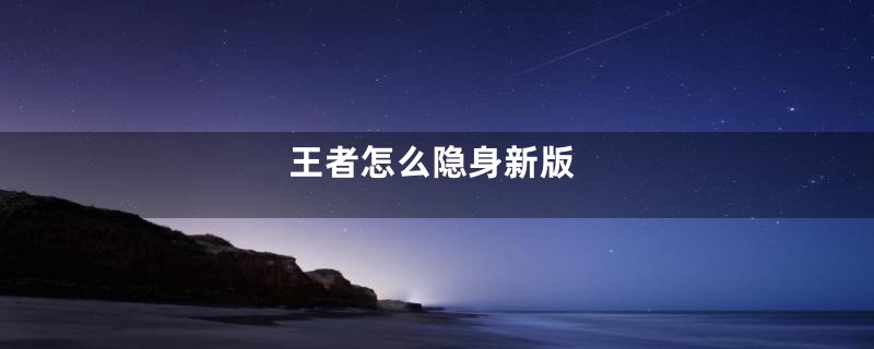 王者怎么隐身新版