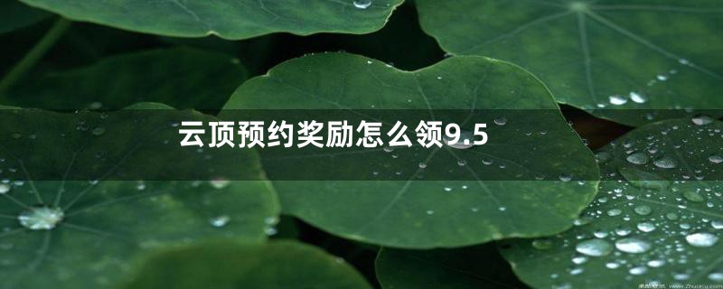 云顶预约奖励怎么领9.5