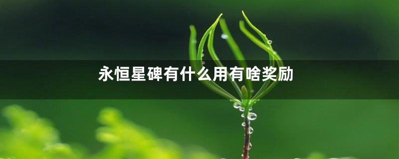 永恒星碑有什么用有啥奖励
