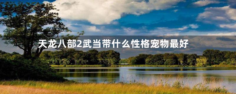 天龙八部2武当带什么性格宠物最好