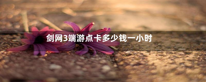 剑网3端游点卡多少钱一小时