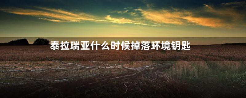 泰拉瑞亚什么时候掉落环境钥匙