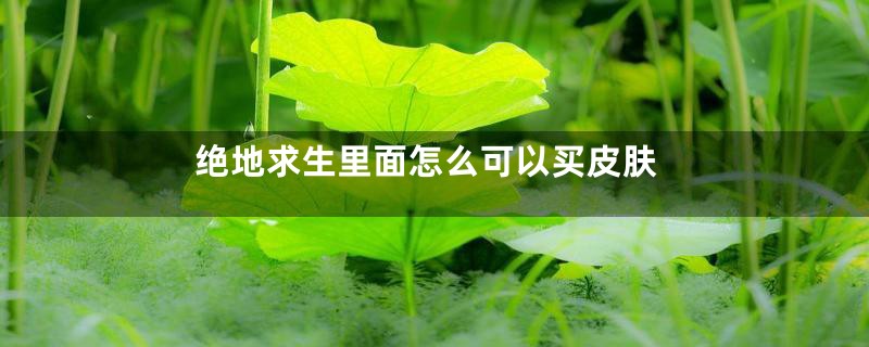 绝地求生里面怎么可以买皮肤