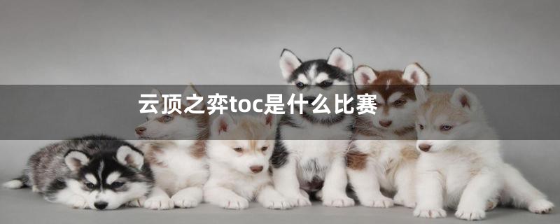 云顶之弈toc是什么比赛