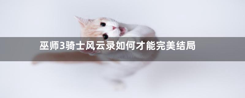 巫师3骑士风云录如何才能完美结局