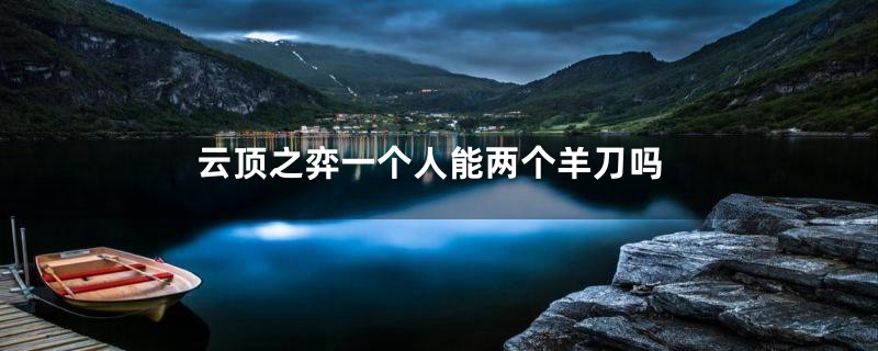 云顶之弈一个人能两个羊刀吗