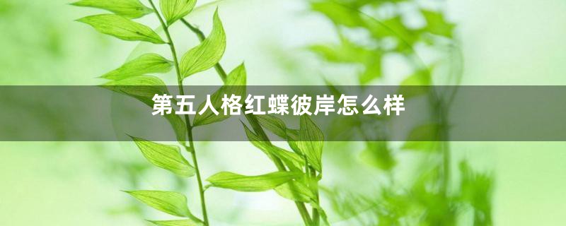 第五人格红蝶彼岸怎么样