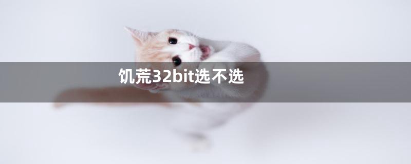 饥荒32bit选不选