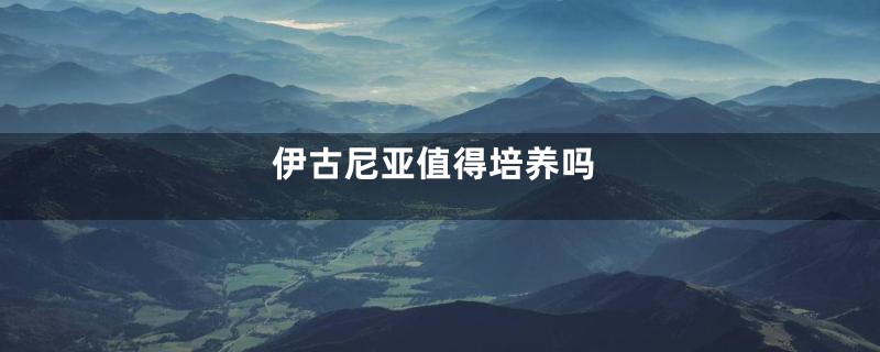 伊古尼亚值得培养吗