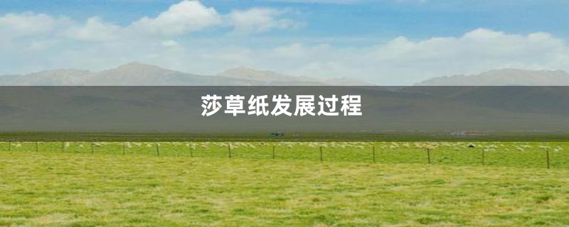 莎草纸发展过程
