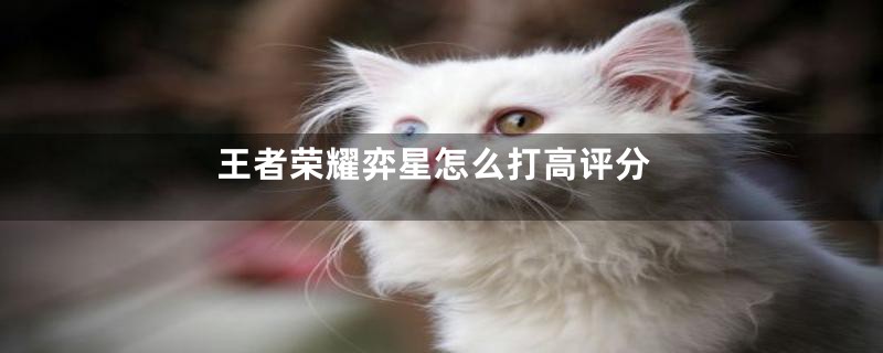 王者荣耀弈星怎么打高评分