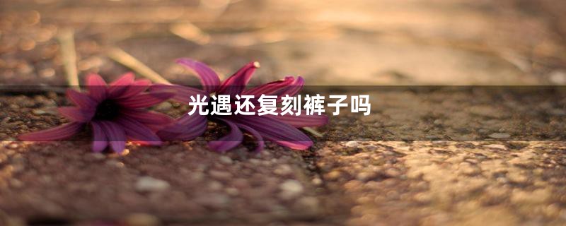 光遇还复刻裤子吗