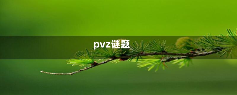 pvz谜题