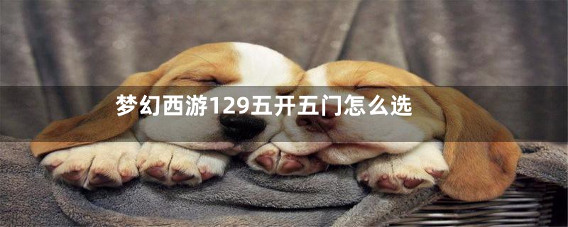 梦幻西游129五开五门怎么选