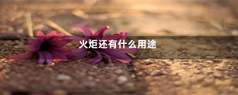 火炬还有什么用途