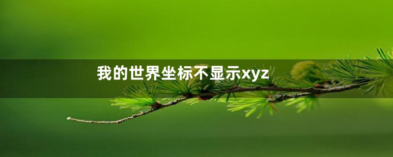 我的世界坐标不显示xyz