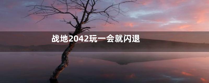 战地2042玩一会就闪退