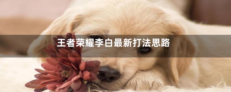 王者荣耀李白最新打法思路