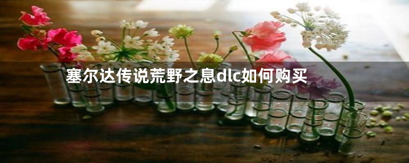 塞尔达传说荒野之息dlc如何购买