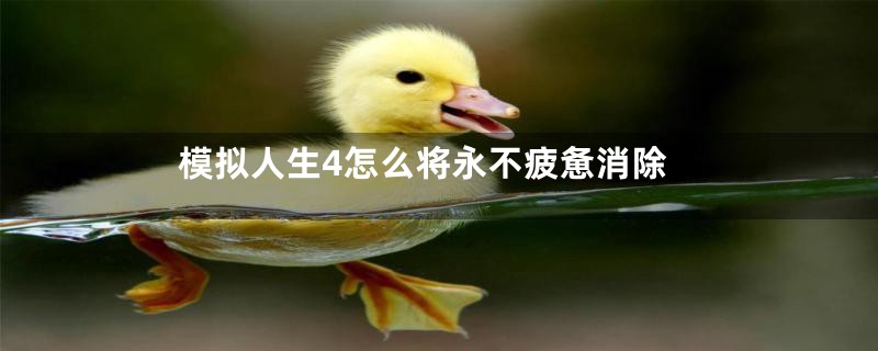 模拟人生4怎么将永不疲惫消除
