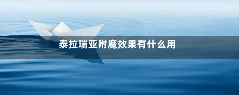 泰拉瑞亚附魔效果有什么用