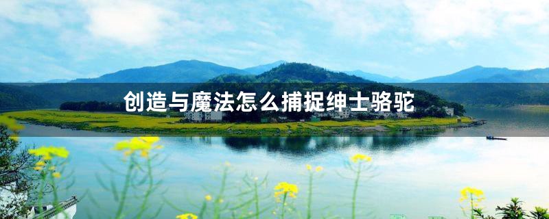 创造与魔法怎么捕捉绅士骆驼