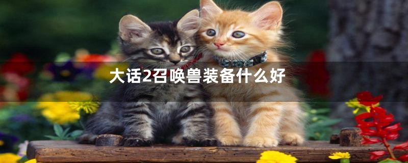 大话2召唤兽装备什么好