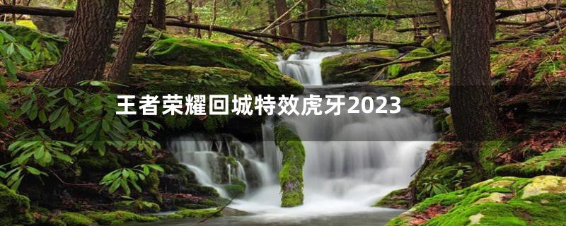 王者荣耀回城特效虎牙2023