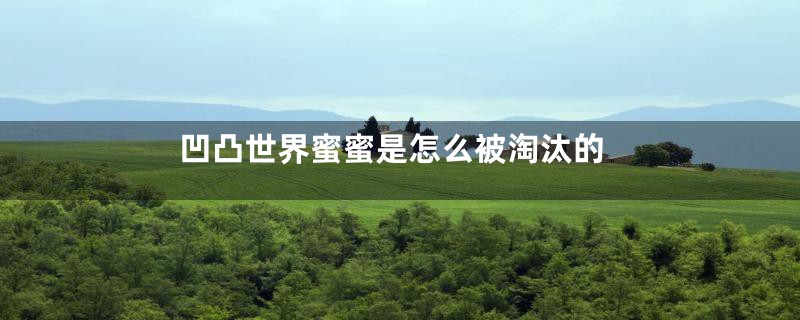 凹凸世界蜜蜜是怎么被淘汰的