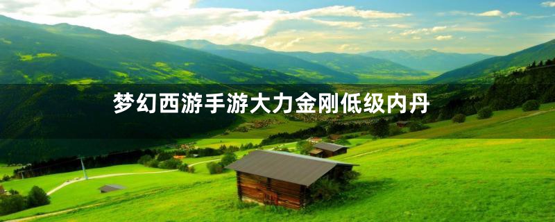 梦幻西游手游大力金刚低级内丹