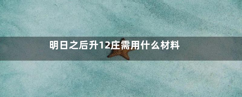 明日之后升12庄需用什么材料