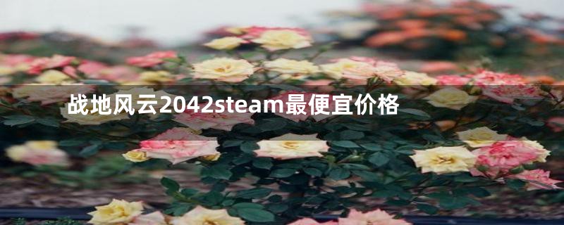 战地风云2042steam最便宜价格