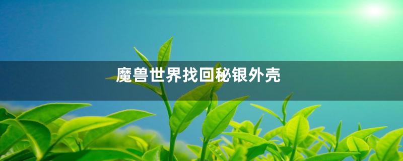 魔兽世界找回秘银外壳