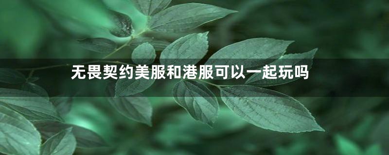 无畏契约美服和港服可以一起玩吗