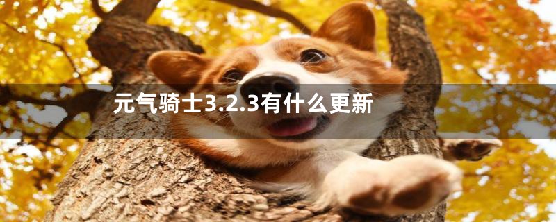 元气骑士3.2.3有什么更新