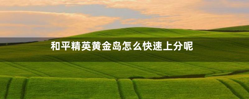 和平精英黄金岛怎么快速上分呢
