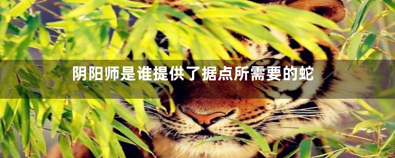 阴阳师是谁提供了据点所需要的蛇