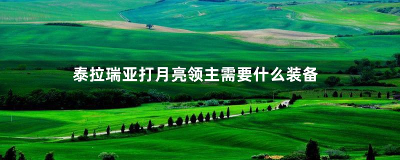 泰拉瑞亚打月亮领主需要什么装备