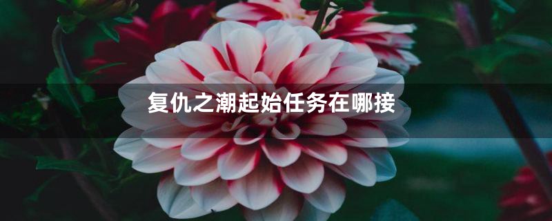 复仇之潮起始任务在哪接