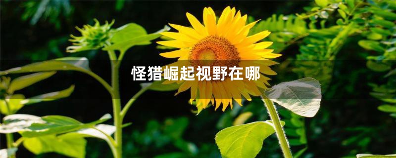 怪猎崛起视野在哪