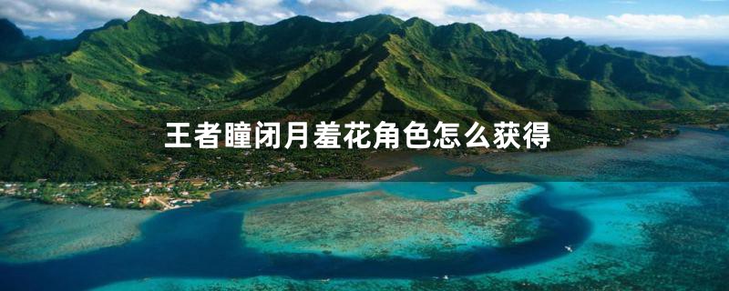 王者瞳闭月羞花角色怎么获得